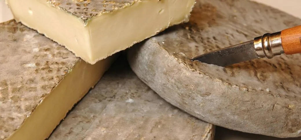 FROMAGERIE GUILLAUME - SAINT-NECTAIRE AU LAIT CRU DE VACHE