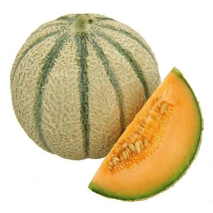 Producteur: Basidi Production / Distribué par Alterbio - Melon bio origine Maroc