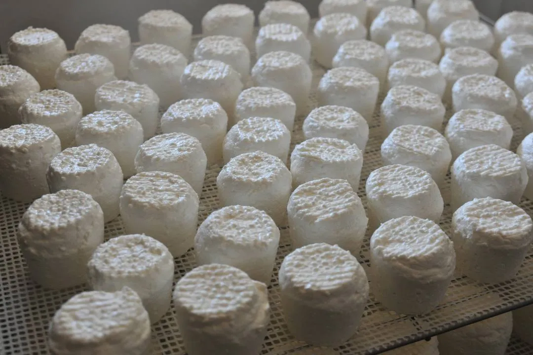 Chez Pinpin - Fromage de chèvre