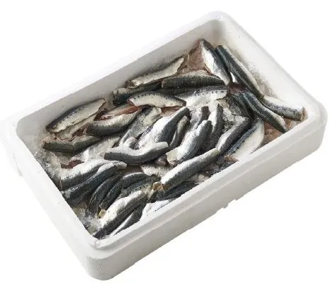 Auchan Le Poissonnier - SARDINES en étal