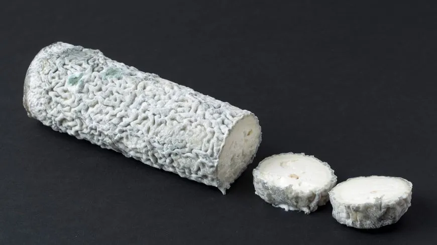 Fromages de chévre - Pyramide, bûche,cendré