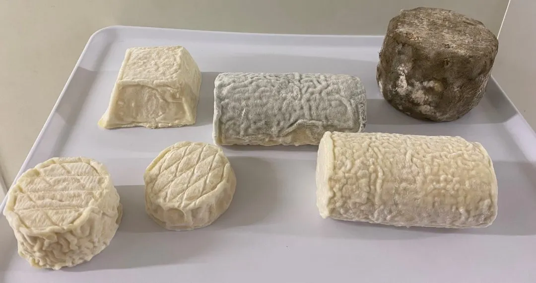 Gaec du val gelon - Fromages de brebis fermiers au lait cru