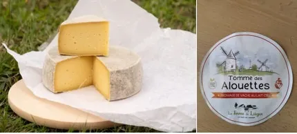 La ferme de liègue - Tomme des alouettes