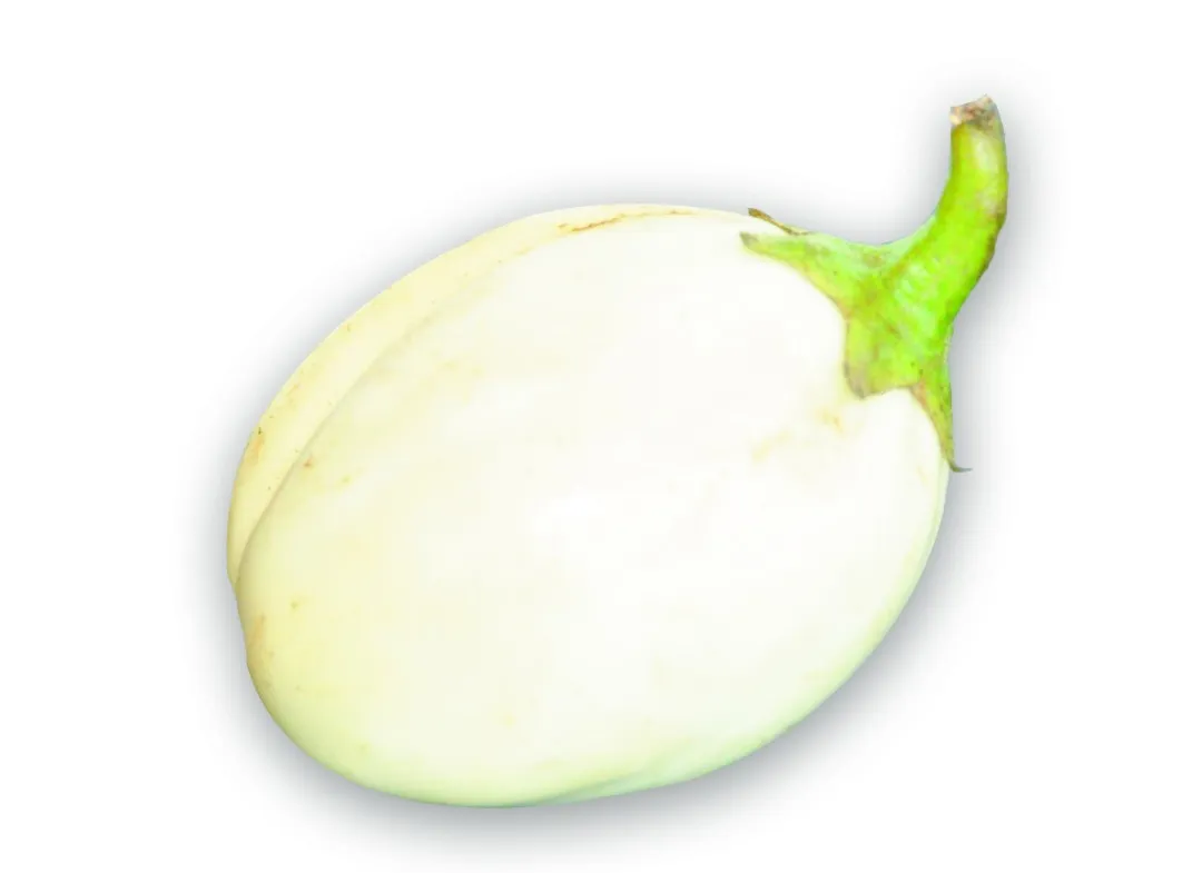 Agroburkina - Aubergine blanche