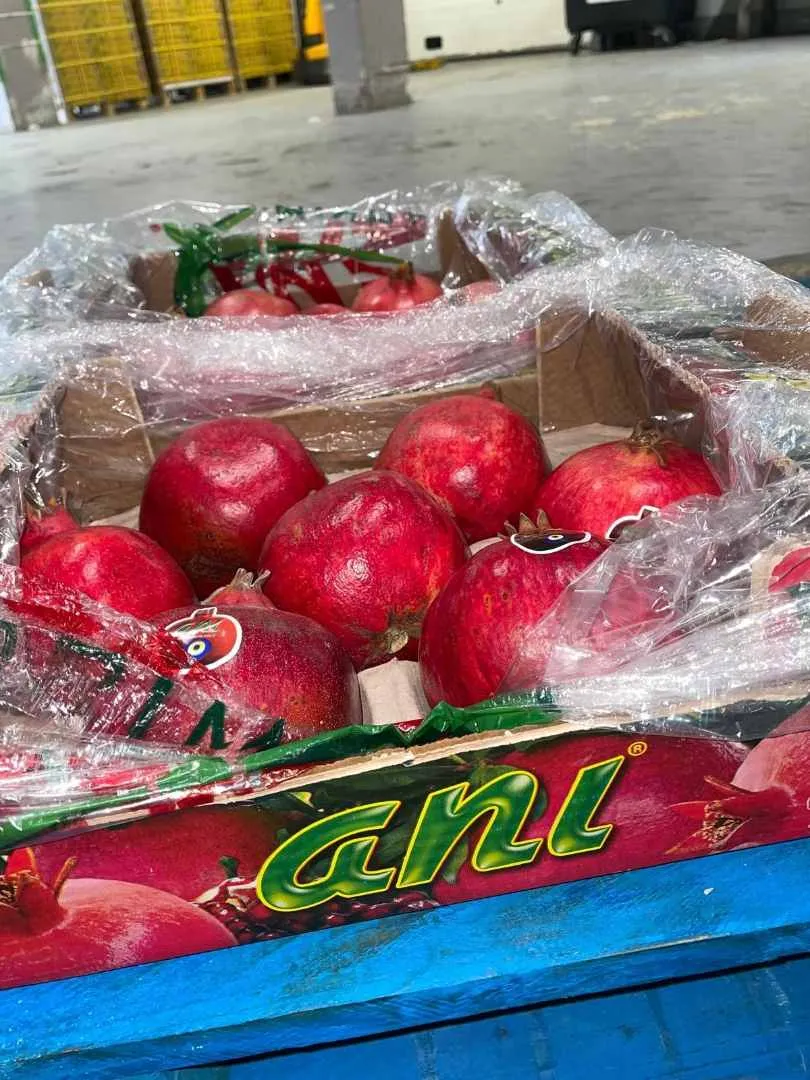 Ani - Grenade hicaz origine turquie