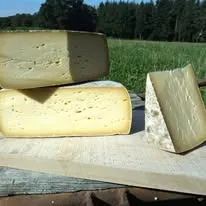 Ferme de la chesnaye - Tomme de coetquen