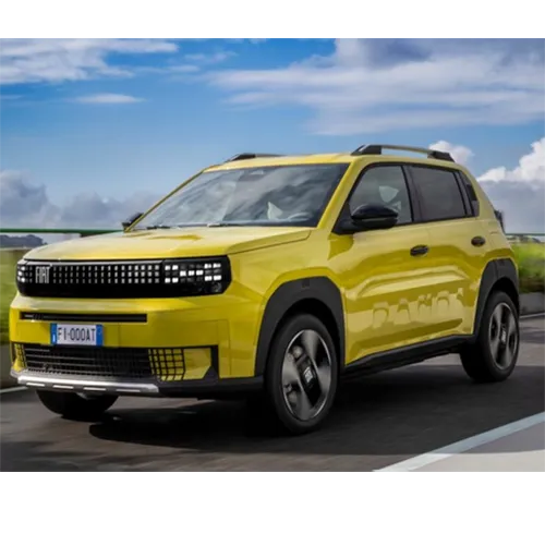 Fiat professional - Grande panda, 600 voiture particulière