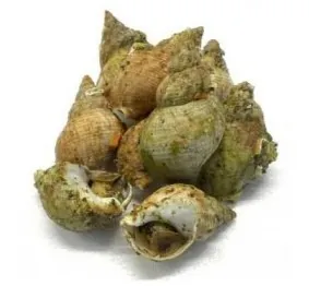 Produit rappelé